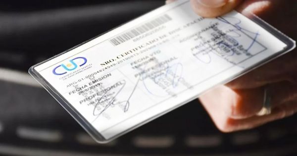 Prorrogaron el vencimiento del CUD por un año