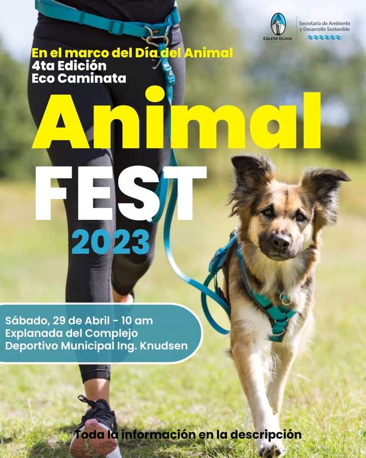 Este sábado se realizará la Eco Caminata 