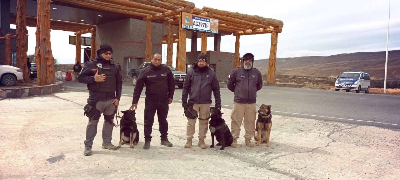 Operativo de seguridad en la Fiesta Nacional del Lago: 31 vehículos secuestrados por alcoholemia