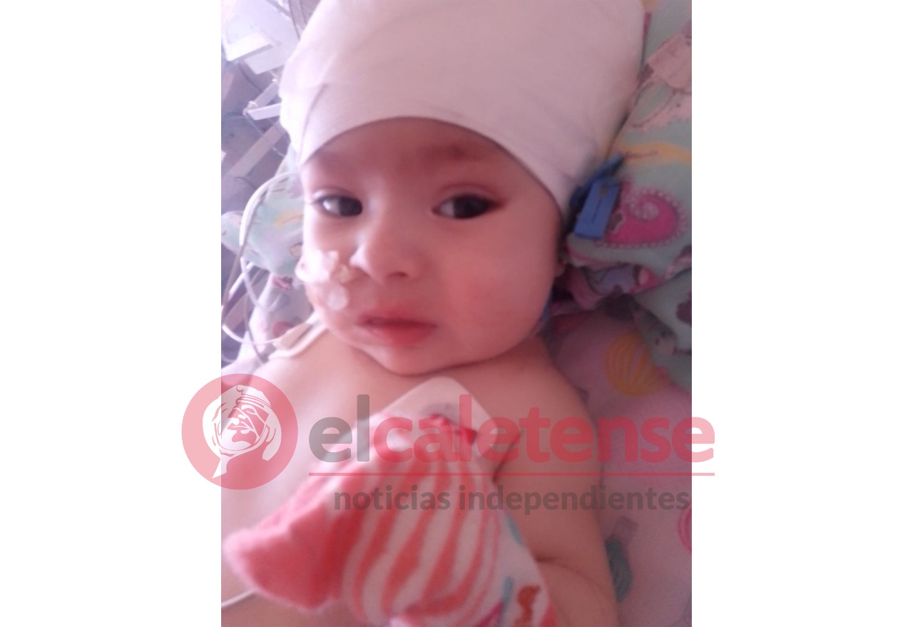 Pequeña guerrera: Rubí la beba de la boxeadora Alejandra Aparicio saldrá de terapia intensiva 