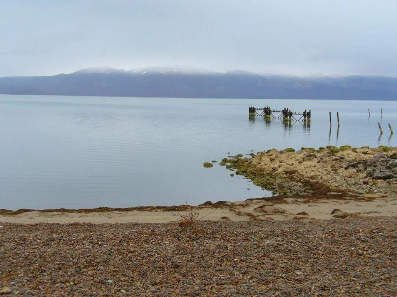 Profesores y bailarines participaron de un espacio de aprendizaje
