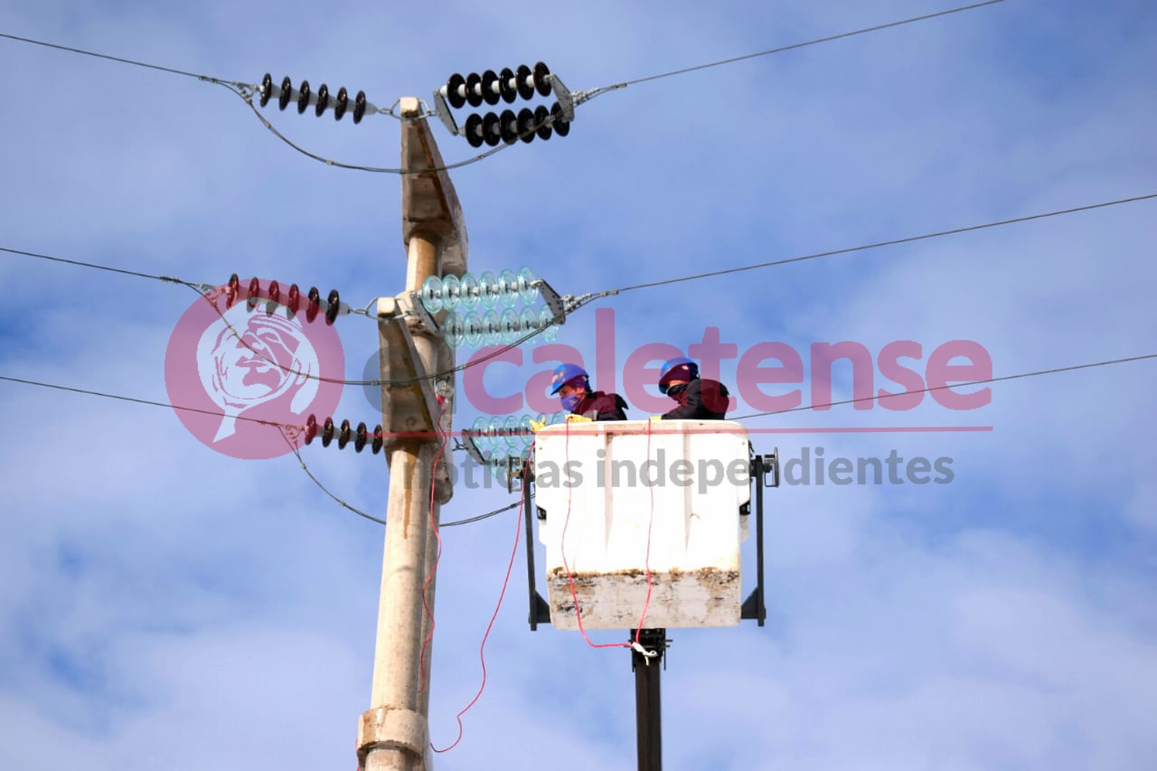Desde la madrugada, caída de líneas dejó sin luz a medio Caleta