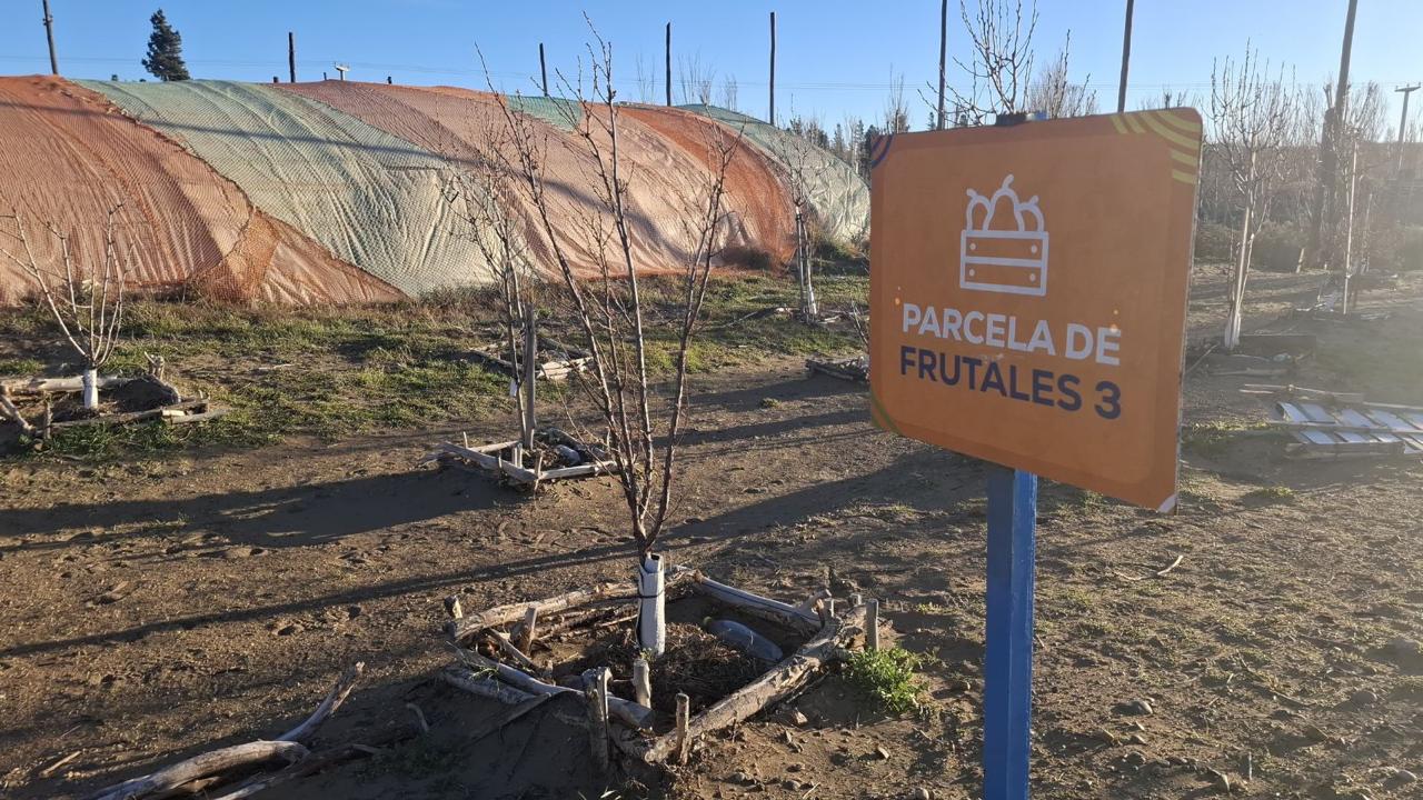 La Municipalidad impulsa un taller de poda de frutales en Punto Orgánico 