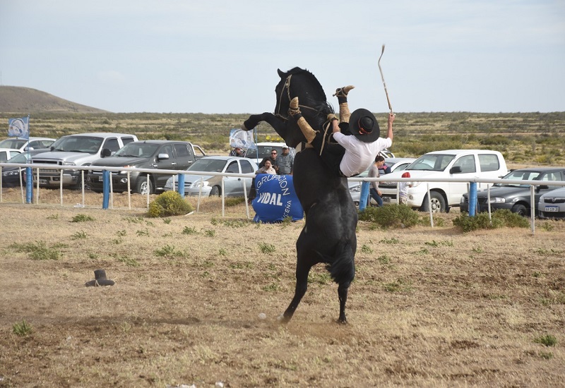 Se viene el gran festival de jineteada en Caleta Olivia