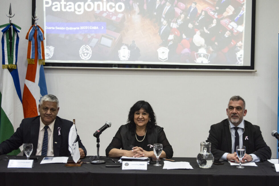 Comenzó la cuarta sesión del Parlamento Patagónico