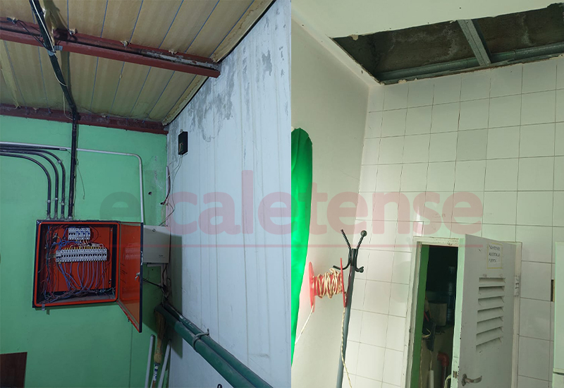 Desmantelan invernadero clandestino de marihuana en barrio Rotary XXIII