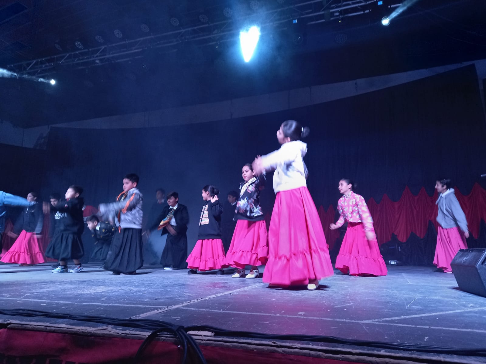 El guanaco en Santa Cruz: entre el conflicto productivo y su potencial como recurso