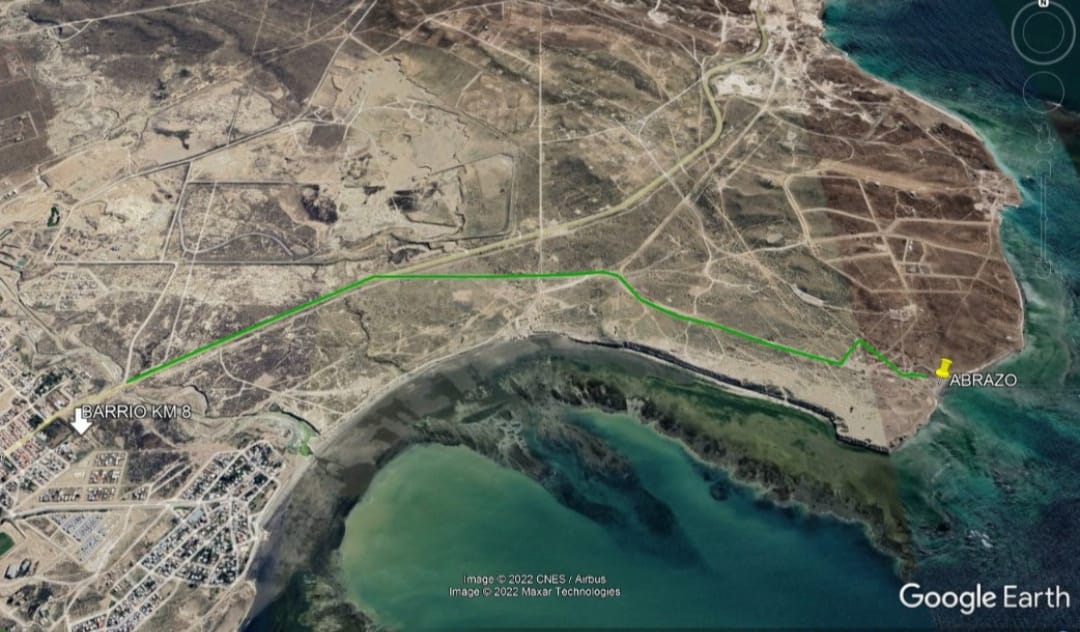 El guanaco en Santa Cruz: entre el desafío ambiental y su potencial nutricional