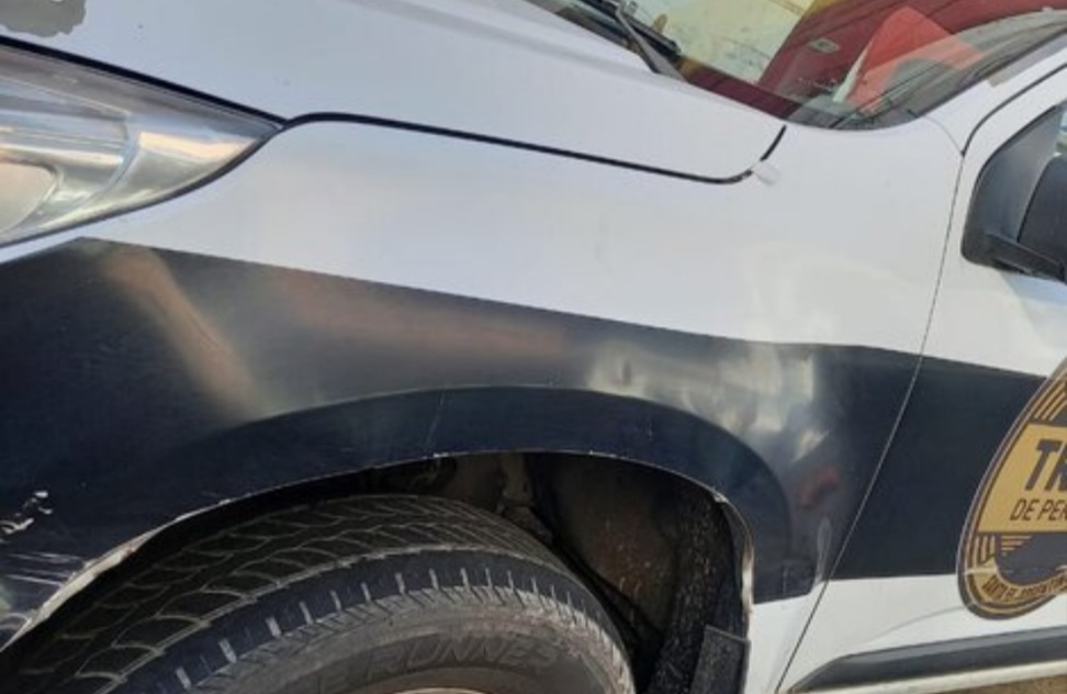 Comodoro Rivadavia: Allanamientos por una causa internacional de pornografía infantil