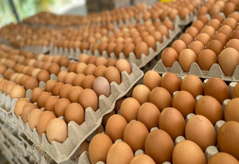Se disparó el precio de los huevos en Comodoro: cuál es la causa de este aumento