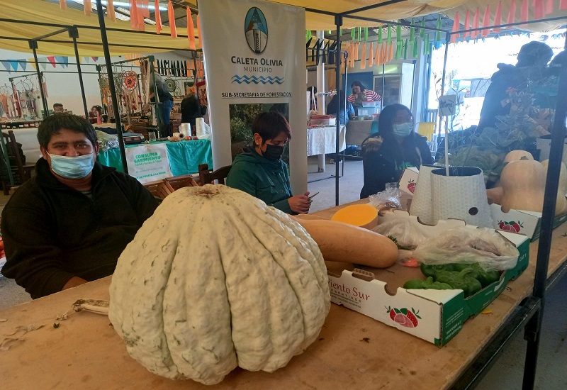 Nueva jornada de labor en comisiones en la Cámara de Diputados de Santa Cruz