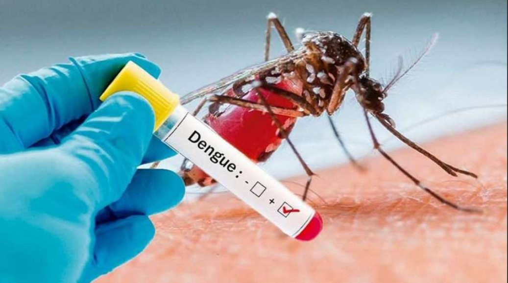 Detectan el primer caso de dengue en Santa Cruz