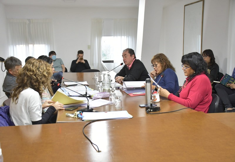 Legisladoras y Legisladores realizaron reuniones de comisión