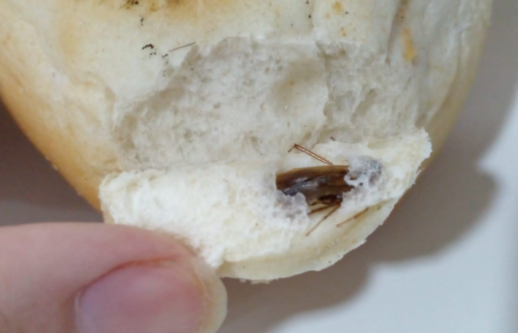 Desagradable hallazgo en Comodoro: encontró una cucaracha en el pan que había comprado