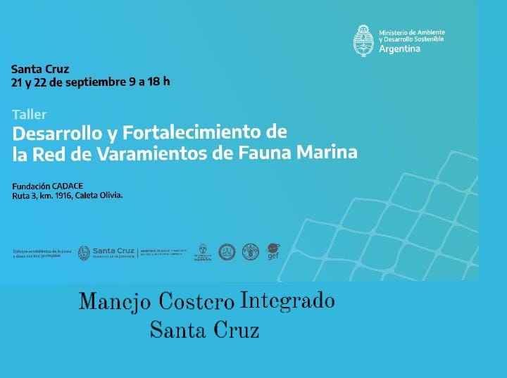 Exportaciones pymes: CAME y PromArgentina consolidan modelo de comercio con el sur de Brasil