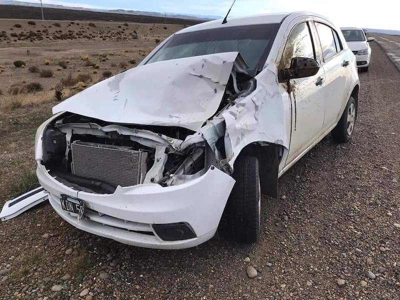 Peligroso: una mujer se accidentó en la Ruta N° 3 al chocar contra un guanaco