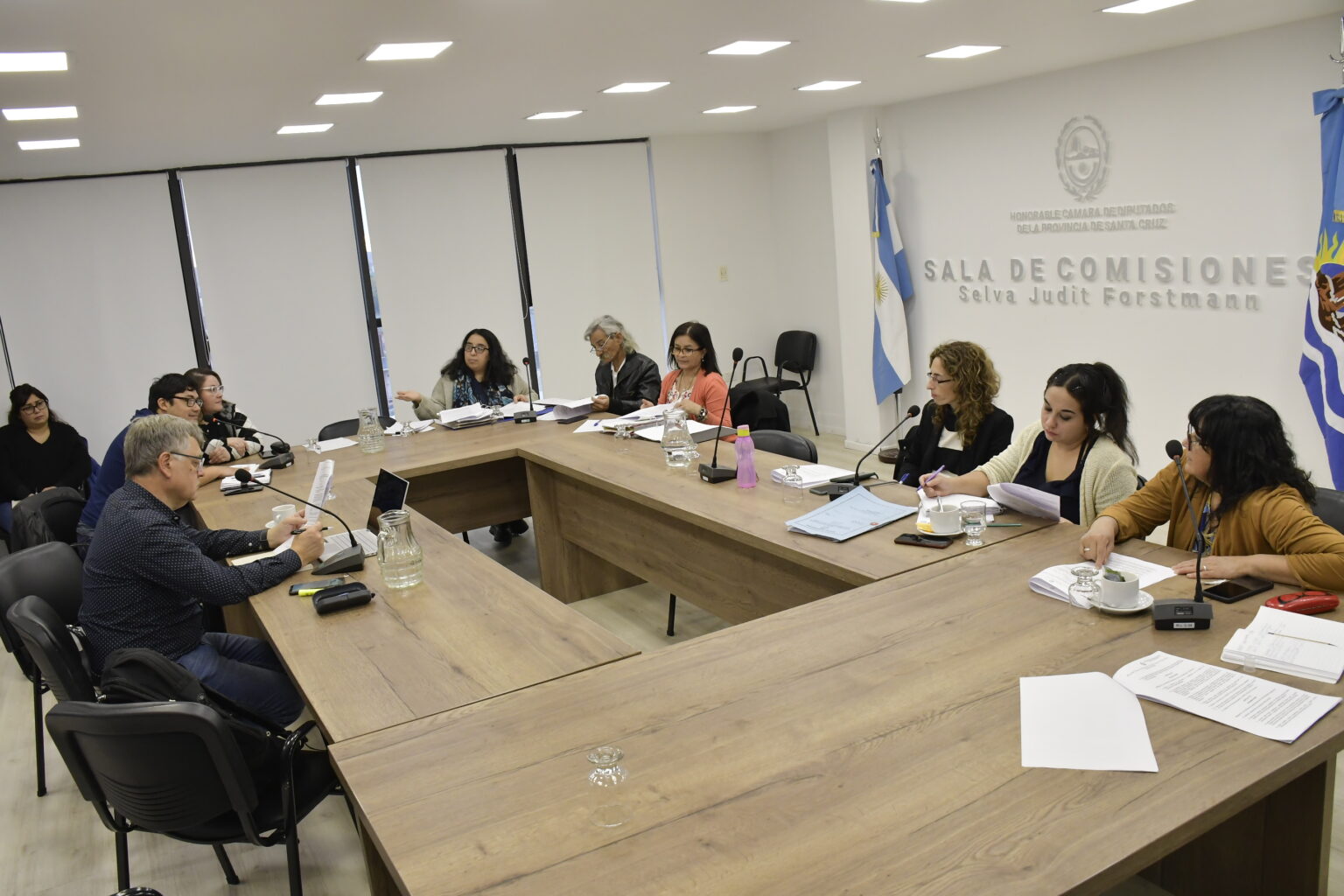 Analizaron modificaciones al proyecto de Acompañantes Terapéuticos