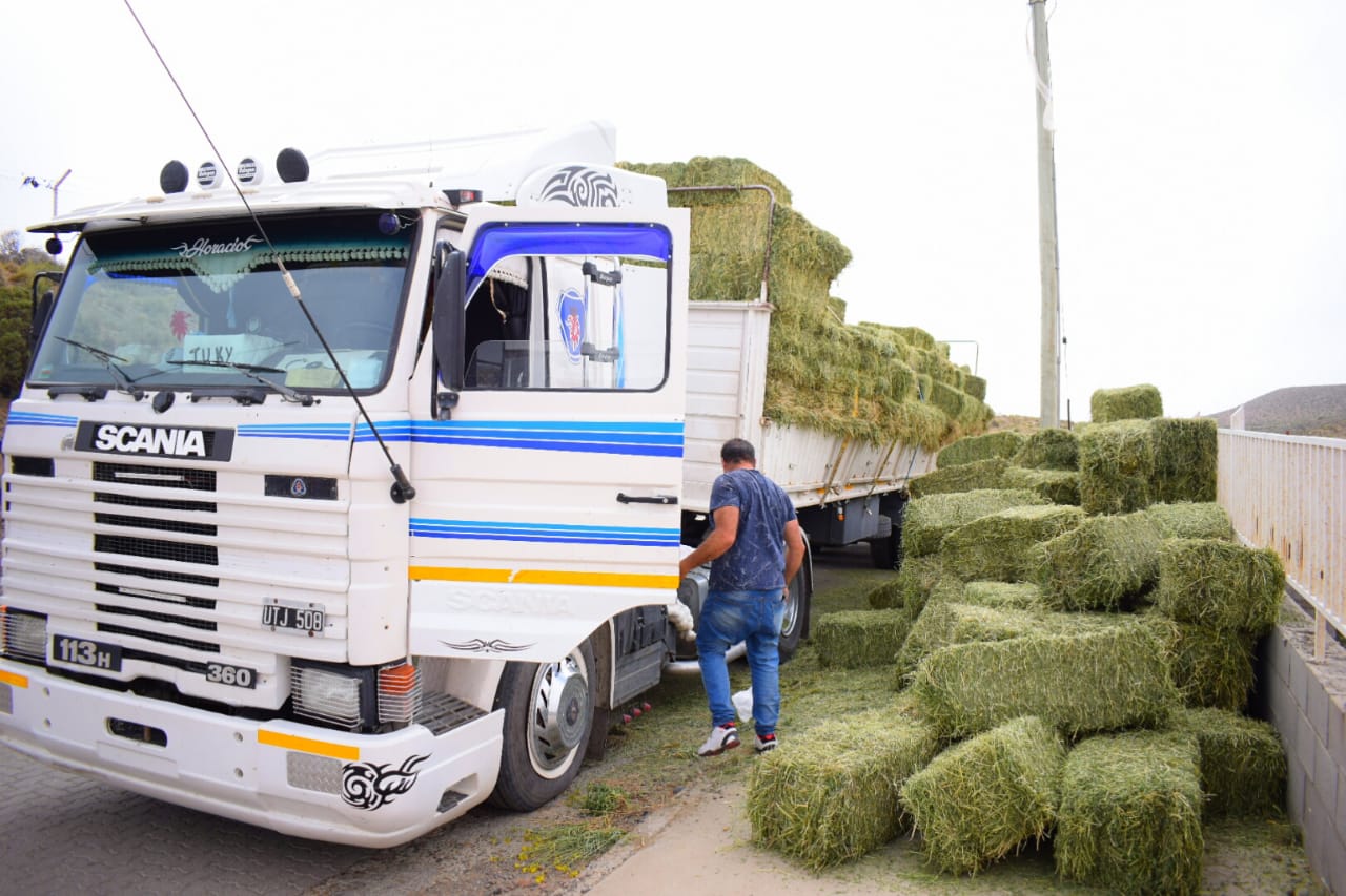 Exportaciones pymes: CAME y PromArgentina consolidan modelo de comercio con el sur de Brasil