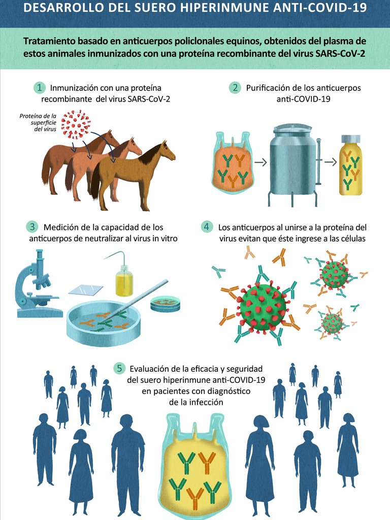 Argentina aprobó el suero equino hiperinmune como tratamiento para el COVID-19 moderado y severo