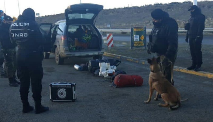 LSD, cigarrillos y plantas de marihuana: Los secuestros en controles de Narcocriminalidad 