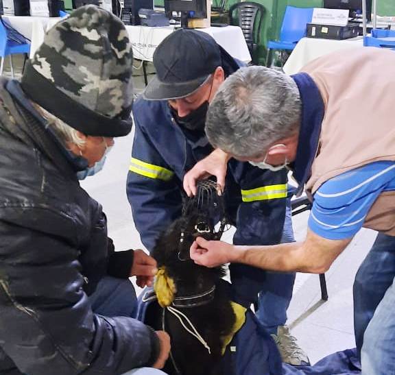 Walter Robledo: “Estamos teniendo un paro que se está sintiendo”