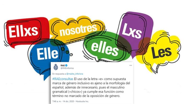 Lenguaje inclusivo: la RAE aseguró que el uso de la 