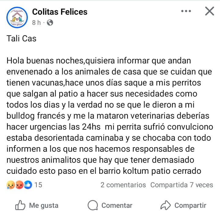 Záratez del IMS: “La escuela debe seguir siendo un lugar seguro”