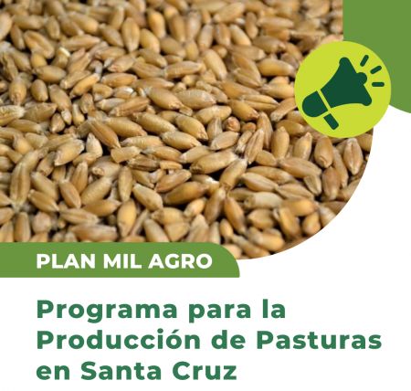 El Consejo Agrario Provincial impulsa el Plan MIL AGRO para fortalecer la producción forrajera en Santa Cruz