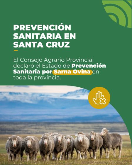 Santa Cruz refuerza la sanidad ovina y declara la emergencia agropecuaria