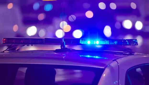 Detienen a un hombre tras intentar robar mercadería en una rotisería