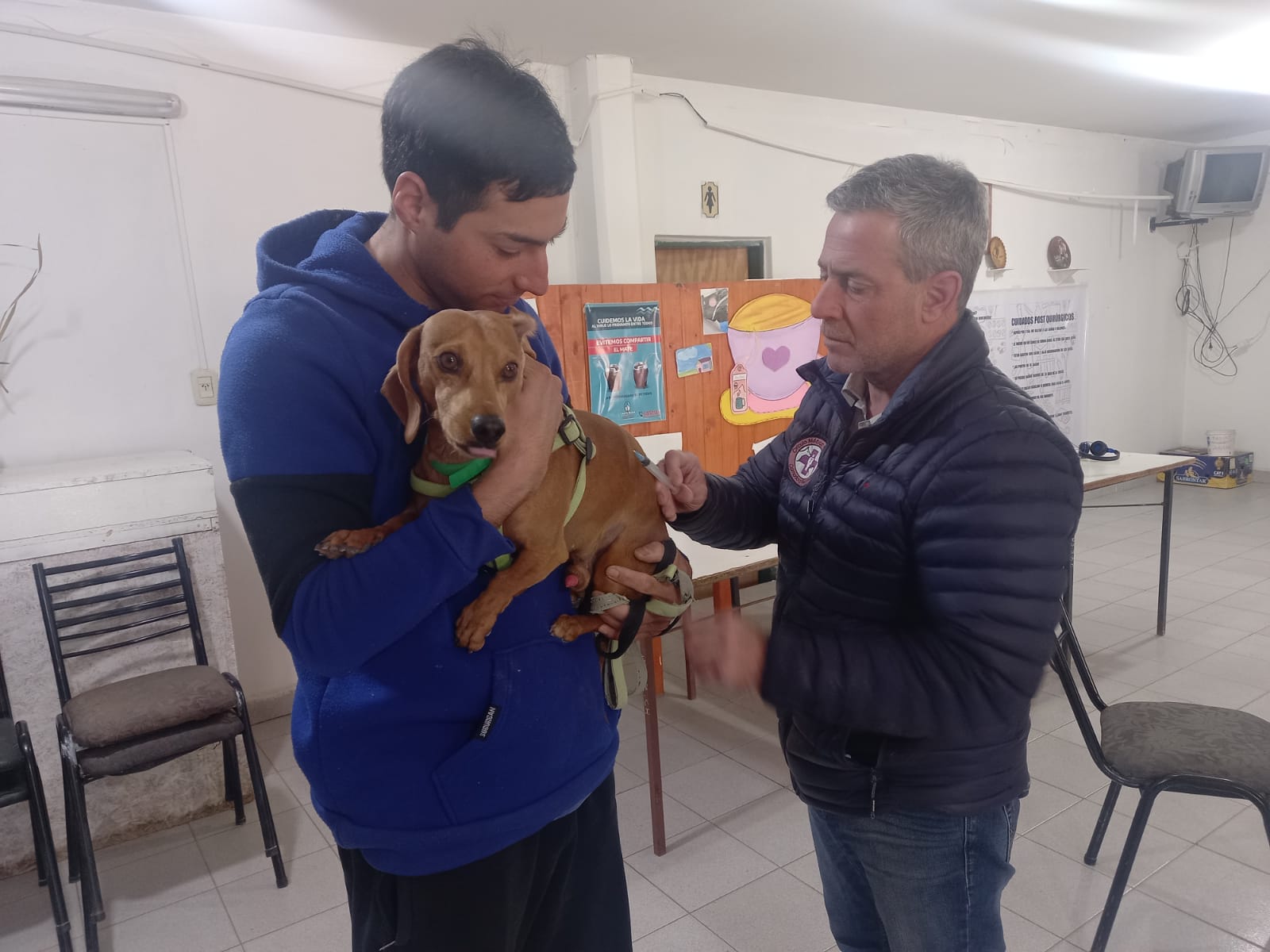 Campaña de castración masiva en Zona de Chacras hasta el 28 de octubre