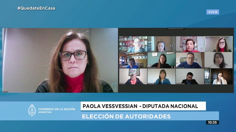 Designan a la diputada Paola Vessvessian en la Bicameral del defensor de derechos de Niños, Niñas y Adolescentes