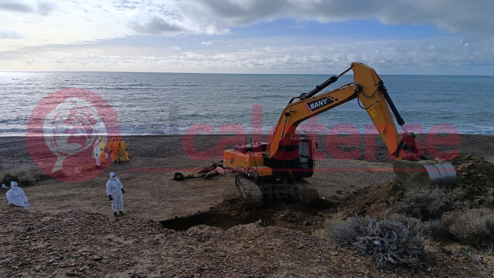 Pesca en Santa Cruz: Ricci ratificó el diálogo y confirmó 8.700 toneladas adicionales de merluza