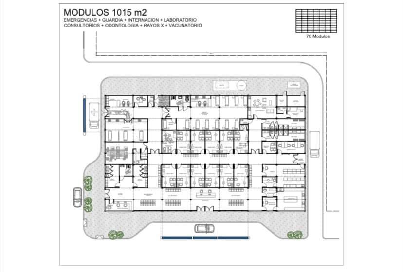 Desmantelan invernadero clandestino de marihuana en barrio Rotary XXIII