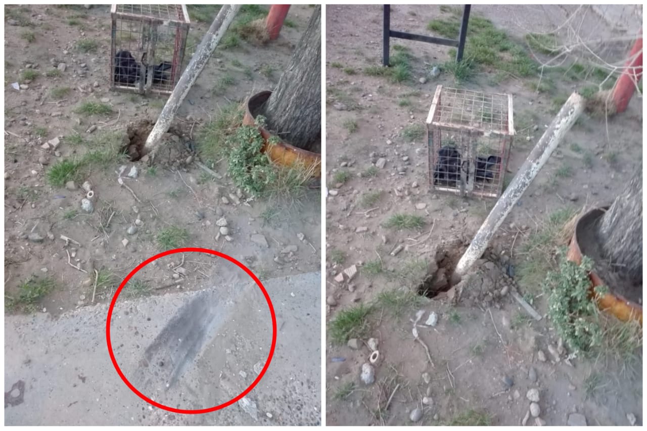 Imprudencia al volante: Pareja que viajaba con sus hijos chocó un canasto de basura en el Rotary 23 y se dio a la fuga