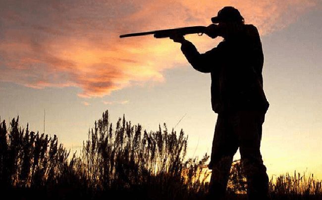 La Provincia actualiza la normativa de caza deportiva 2025