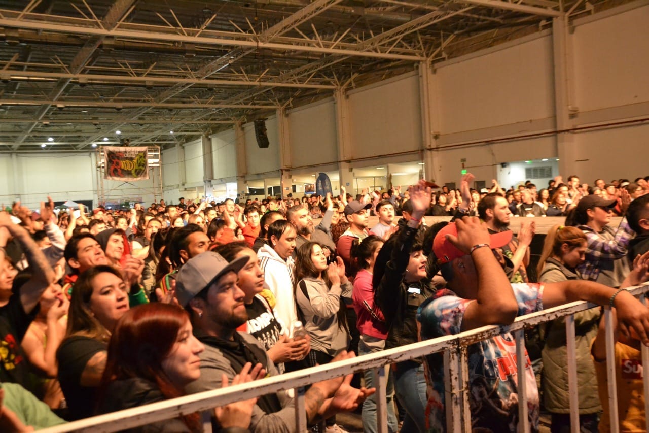 Desmantelan invernadero clandestino de marihuana en barrio Rotary XXIII