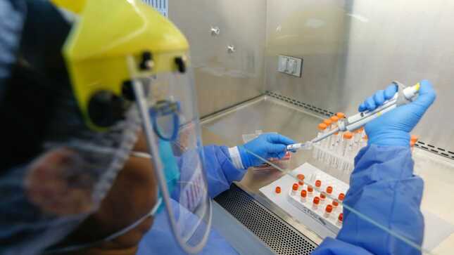 La variante Andina del coronavirus se encontró en cantidad en la Argentina