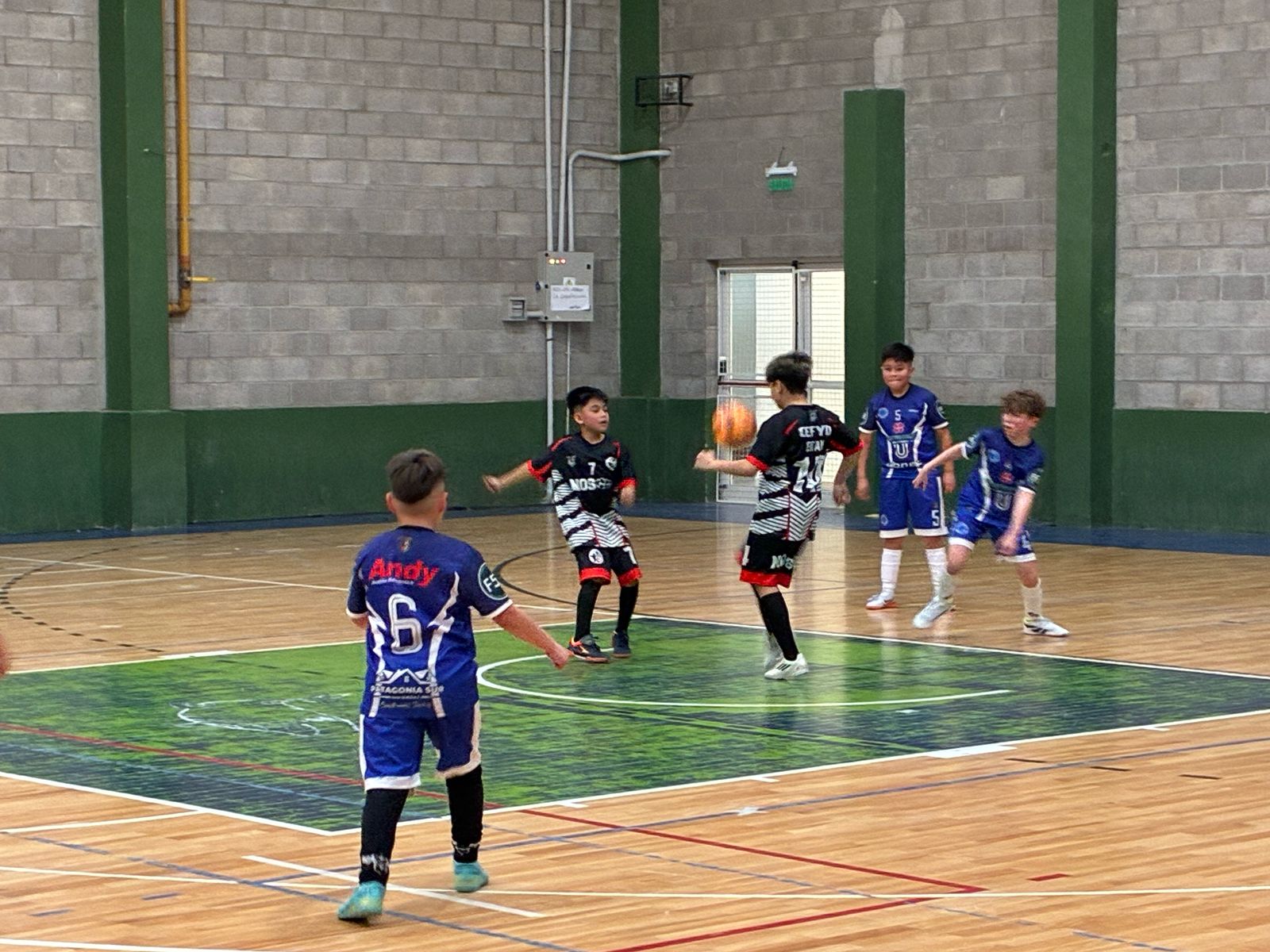 Finalizó el Torneo Pibes en el gimnasio Pancho Cerda