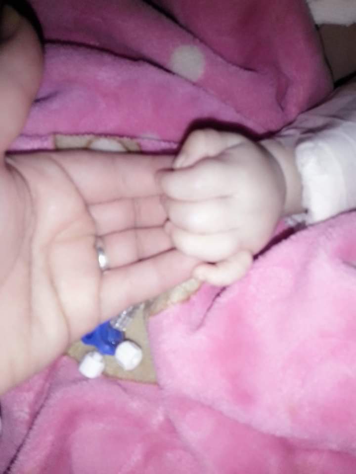 “La Vendimia 2026” continuó con degustaciones, emprendedores y espectáculos artísticos