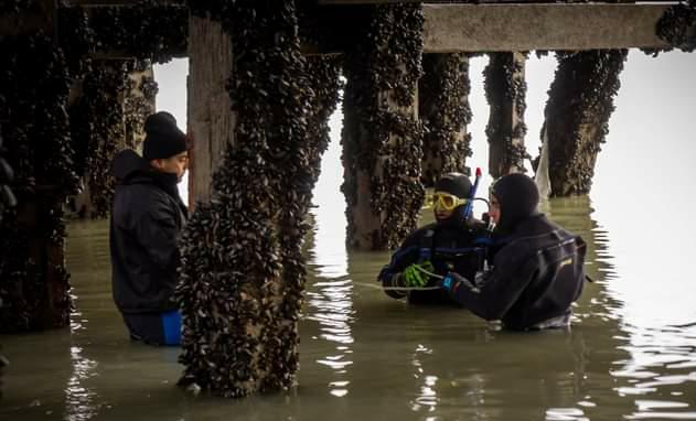 Octavo día de búsqueda: el Estado pone todos sus recursos para encontrar a Marcela López 