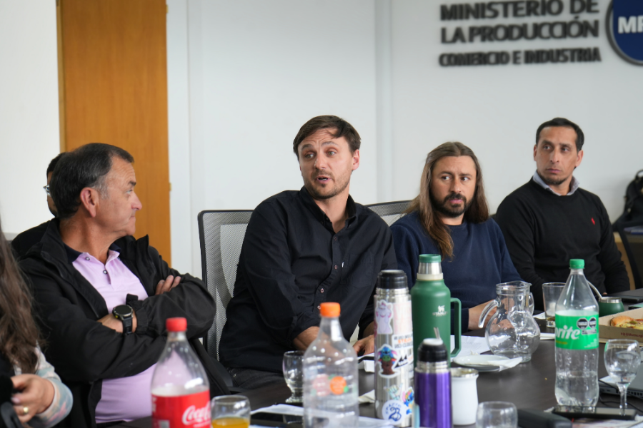 El guanaco en Santa Cruz: entre el desafío ambiental y su potencial nutricional