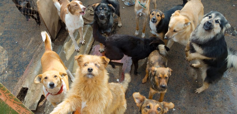 Exportaciones pymes: CAME y PromArgentina consolidan modelo de comercio con el sur de Brasil