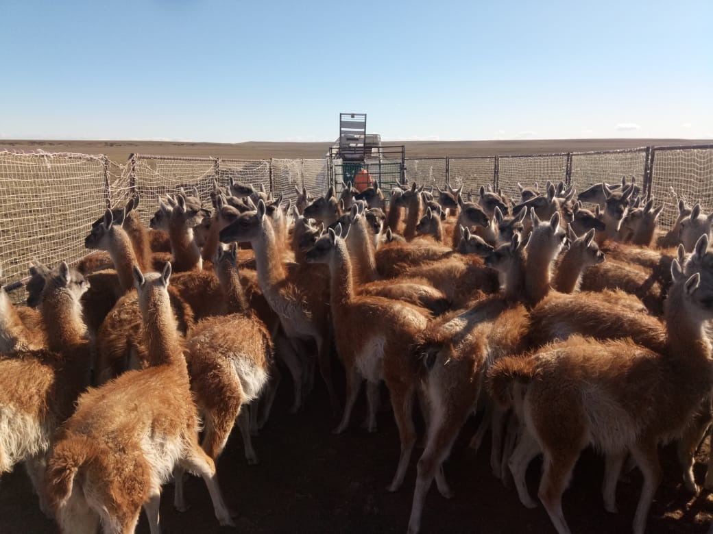 Nueva jornada de labor en comisiones en la Cámara de Diputados de Santa Cruz