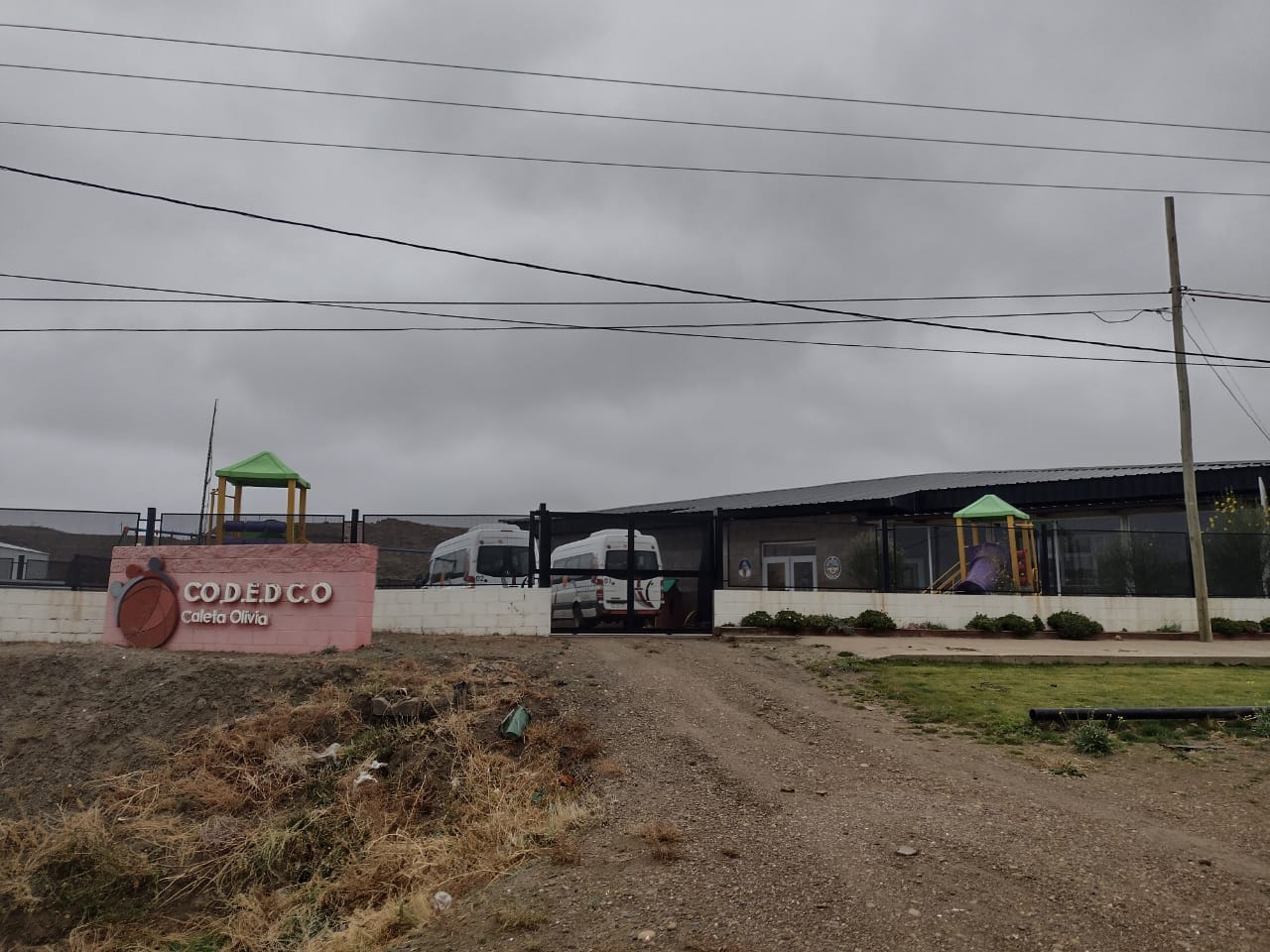 El guanaco en Santa Cruz: entre el desafío ambiental y su potencial nutricional