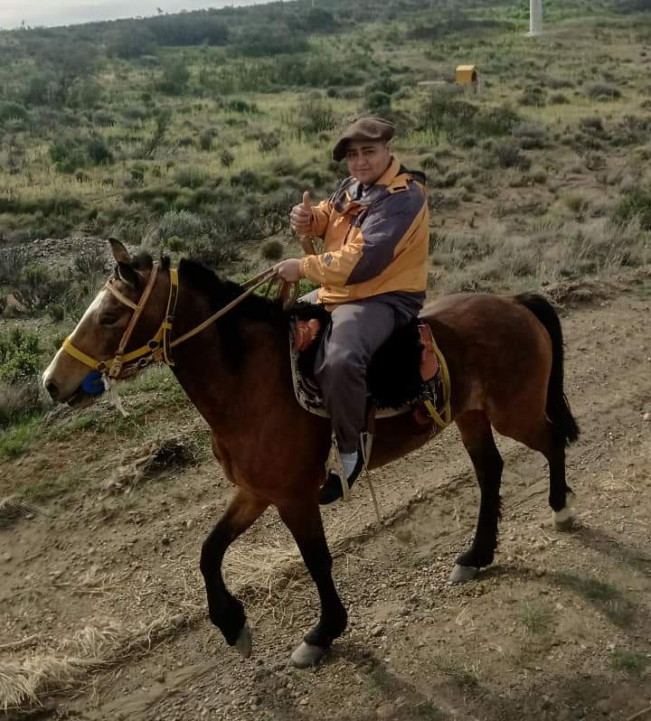 Nueva jornada de labor en comisiones en la Cámara de Diputados de Santa Cruz