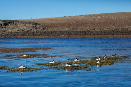 Se avanza en la instalación de sistemas de energía renovable en áreas rurales