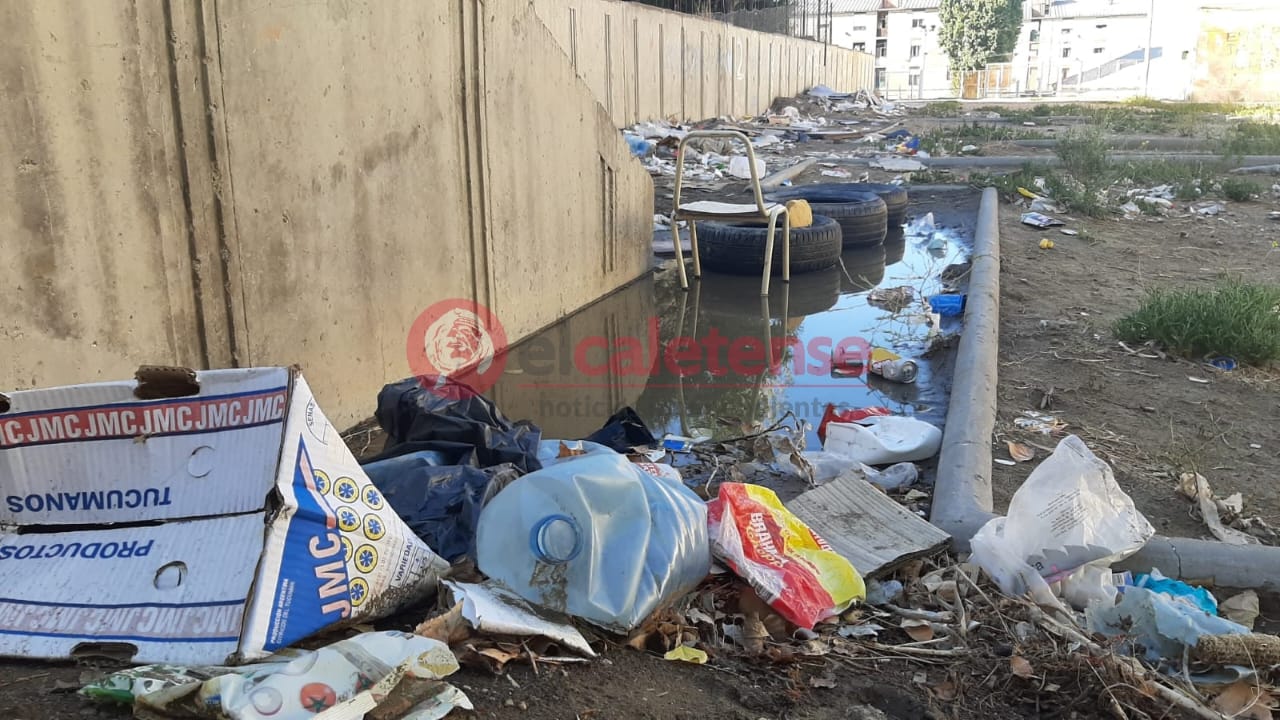 “Hay familias que deben elegir entre comer o pagar los servicios”: Aparicio pidió suspender los cortes de luz y gas durante el invierno