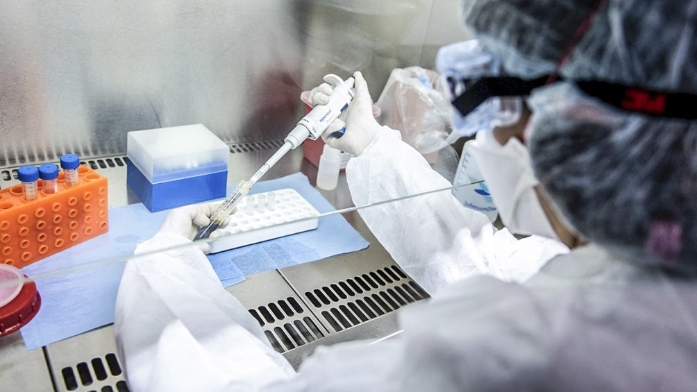 Covid-19: hallan un tratamiento con anticuerpos para acabar con las variantes del coronavirus