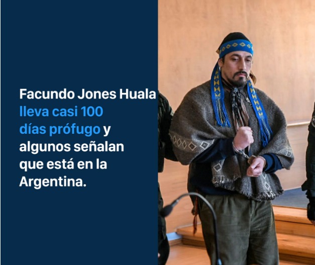 El guanaco en Santa Cruz: entre el desafío ambiental y su potencial nutricional